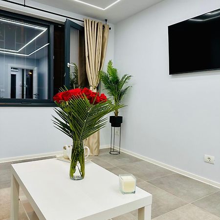 Ppu Home Timisoara Bagian luar foto