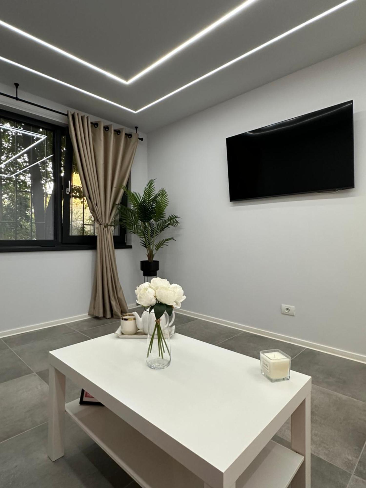Ppu Home Timisoara Bagian luar foto