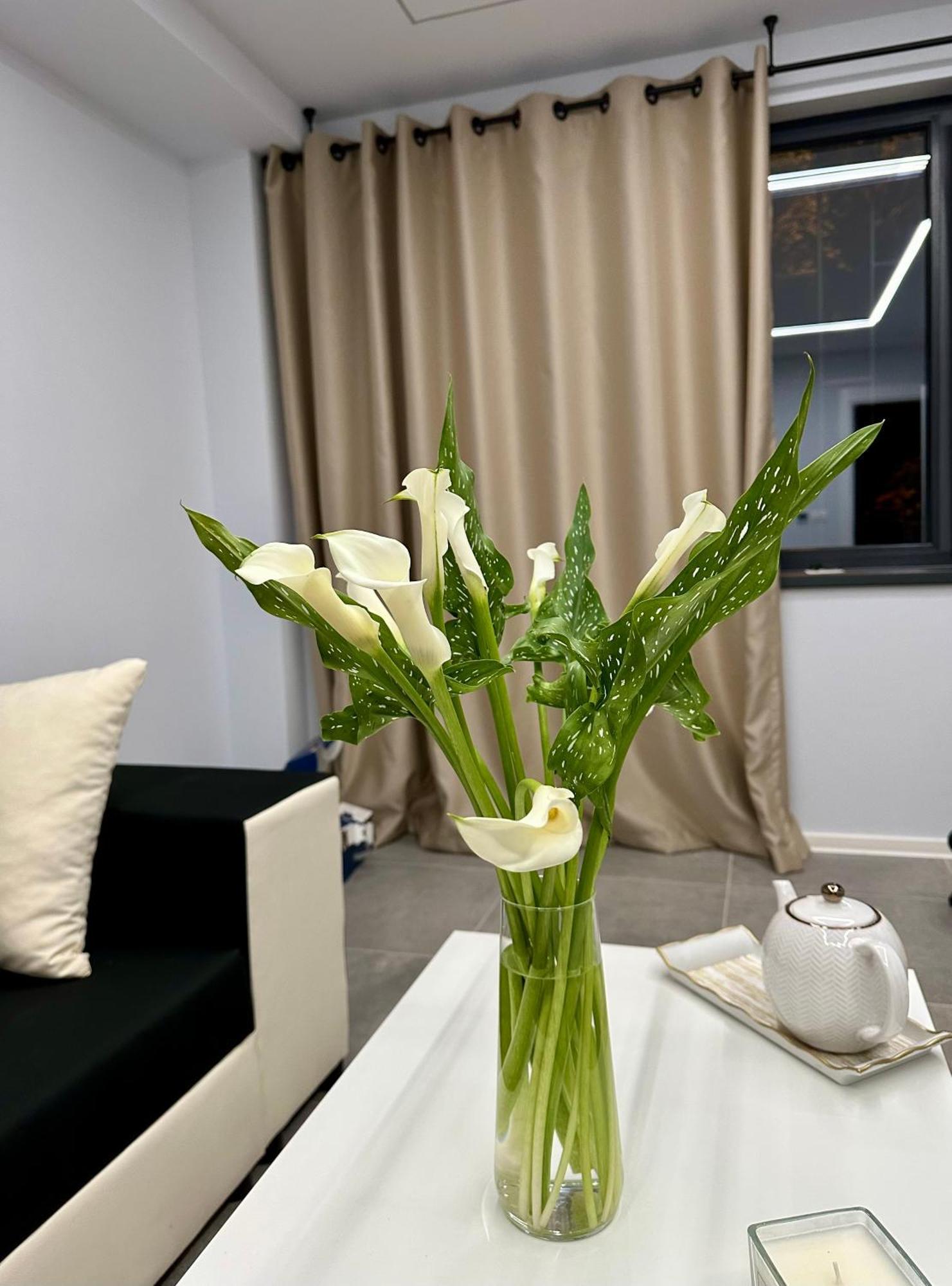 Ppu Home Timisoara Bagian luar foto