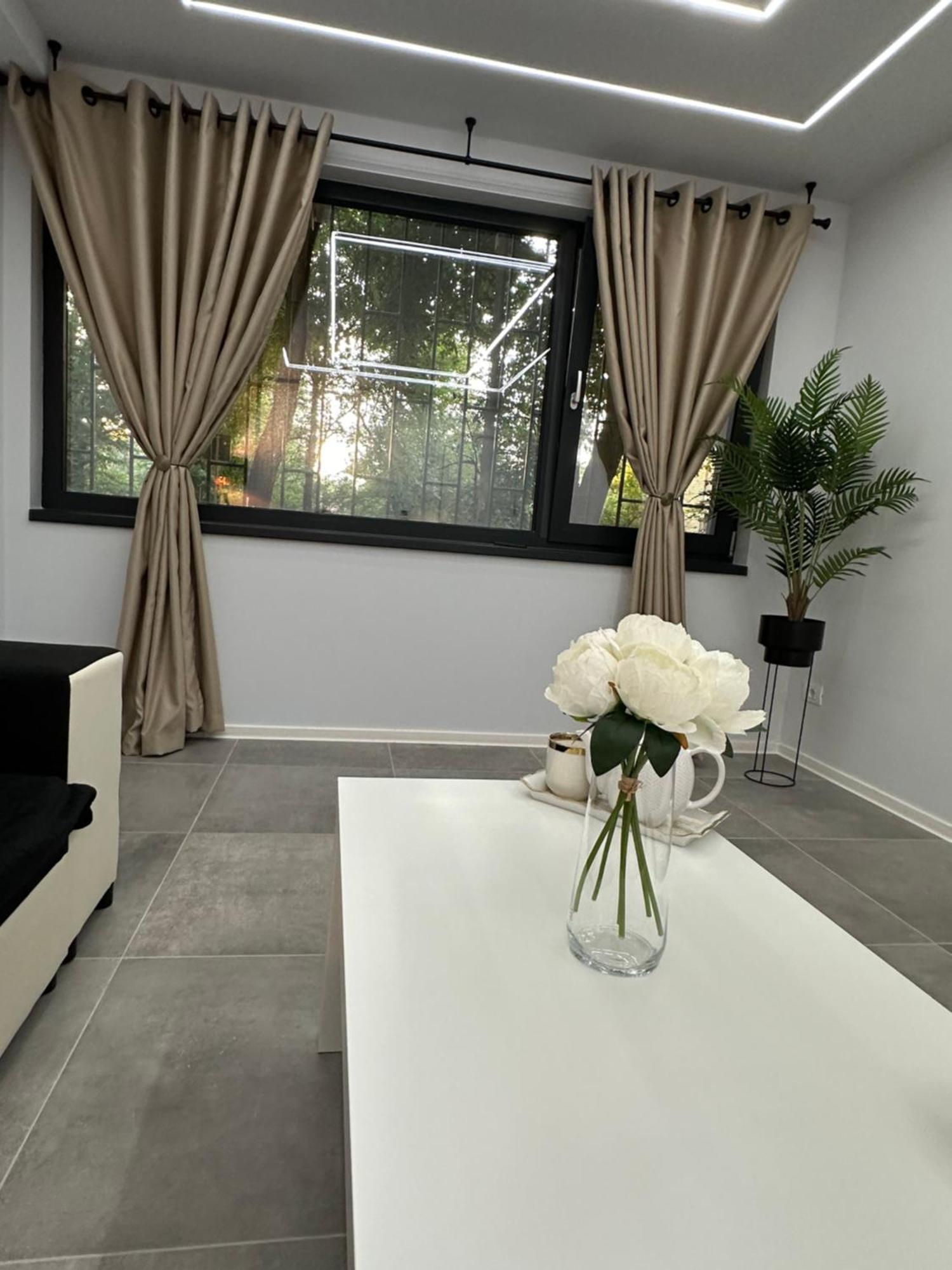 Ppu Home Timisoara Bagian luar foto